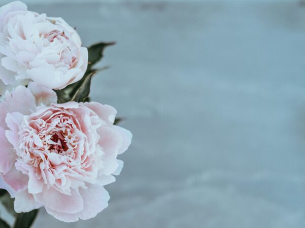 How to Design White and Pink Floral Arrangements for a Romantic Wedding